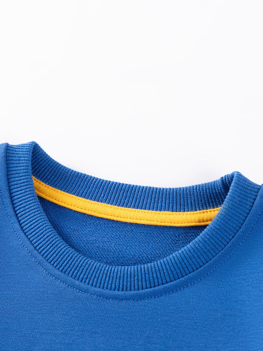 Source Factory Kids' Clothing Wholesale, Autumn Cartoon Boys' Hoodie, Kids' Top