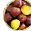 2025 Fresh Dandong Chestnuts 2.5kg Fresh Chestnuts Tender Large Chestnut Wild Chestnut New Oil Chestnuts 10 Pieces