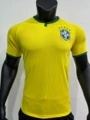 2014 brazil home game