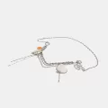 Individual shell charm