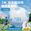 Chongwei Inflatable Large Football Outdoor Family Interactive Toy Ball Kidsren's Boy Imitation Ball Beach Grass Giant Inflatable