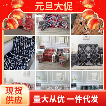 Trendy Brand Foreign Trade Blanket Flannel Blanket Big Brand Explosions Gold Mink Blanket Office Lunch Break Blanket American Style