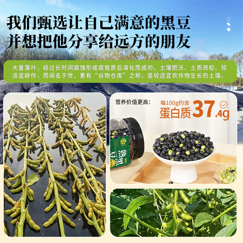 Every Fruit Time Salted Roasted Black Beans 500g Ready-To-Eat Crispy Original Flavor Non-Soy Roasted Seeds and Nuts Snack for Pregnant Women