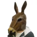 Classic donkey head