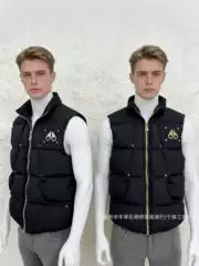 New Style Stand Collar Scissor Vest Men's down Cotton Jacket Cross-Border Fashion Sleeveless Vest Trendy Brand Warm Vest