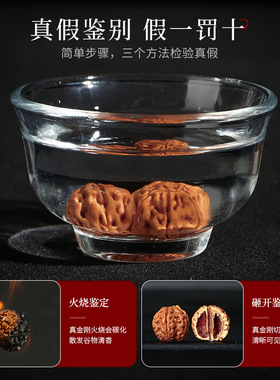 树王爆肉小金刚设计手持菩提子手串士盘玩手链圈核桃文玩佛珠