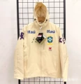 Off-white brazilian (air jordan)