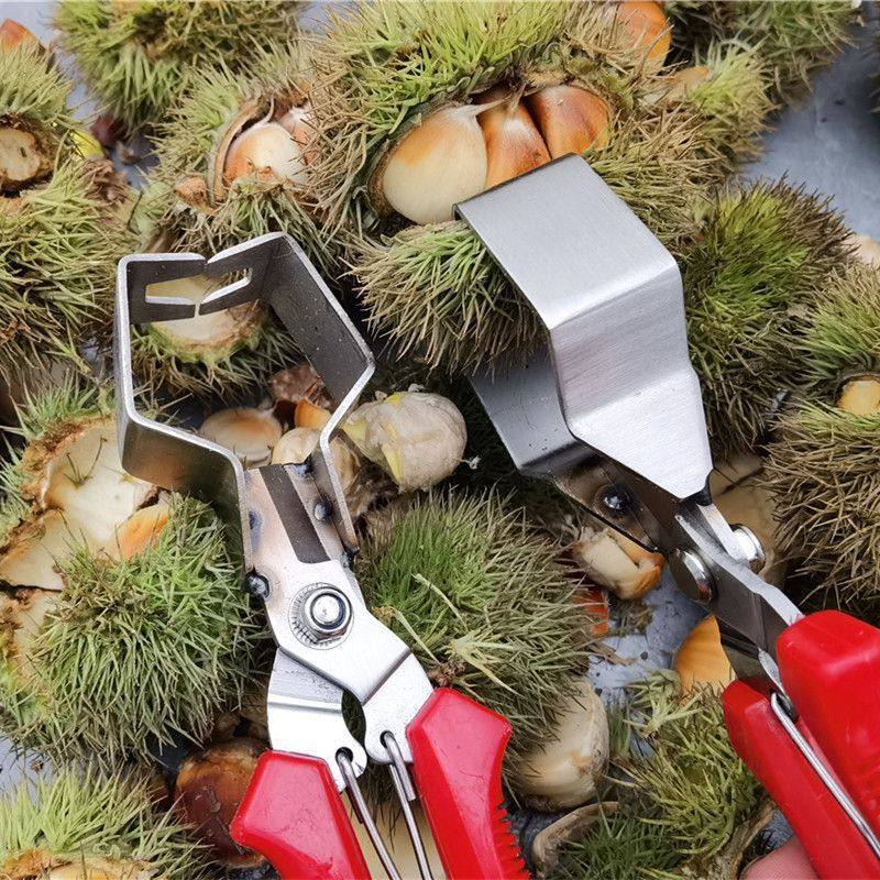 Grape and Lychee Fruit Picking Scissors, Pruning and Flower Pruning Scissors, Gardening Tools, Fruit Pruning Scissors