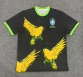 Brazilian fans 3