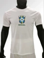 2627 brazilian white