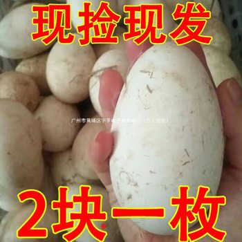 12 Pieces of Lion-Headed Goose Fresh Farm-Raised Free-Range Goose Eggs for Pregnant Women to Remove Fetal Toxins, 100-120 Grams