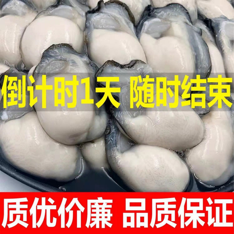 Fresh Oyster Meat Seafood Freshly Peeled on the Day Grilled Oyster Oyster Meat 250g Shipped from Miaizhou