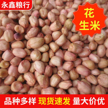 Whole Grains, White Sand Peanuts, Oil-pressed Peanuts, Fried Cooked Food Raw Materials, Peanuts in Bags, 25kg Peanuts
