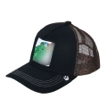 Green Parrot Black