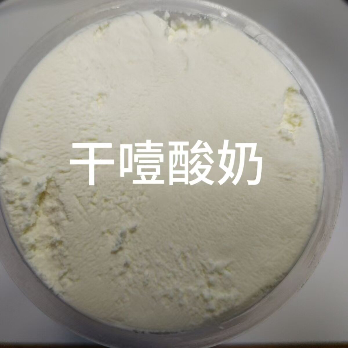 Trendy Original Cold Brew Yogurt Raw Milk Fermented Greek Thick Yogurt Commercial Wholesale