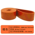 Orange [85-230 pounds] master can lead