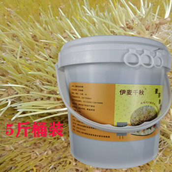 Yimai Qianqiu Glutinous Rice Maltose Traditional Maltose Nostalgic Snack Baking Special Xiaojianzhong Soup 2.5kg