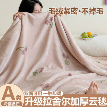 Class a Double-Layer Thickeneded Raschel Super Soft Cloud Blanket, Soft, Comfortable and Warm Autumn and Winter Casual Blanket, Simple and Double-Sided