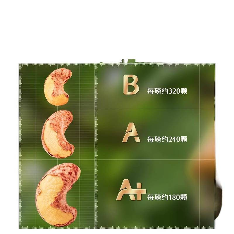 New Arrival Large Can Three Squirrels Canned Large Nut Kernels 500g Mixed Macadamia Nuts Pure Daily Nut Snacks