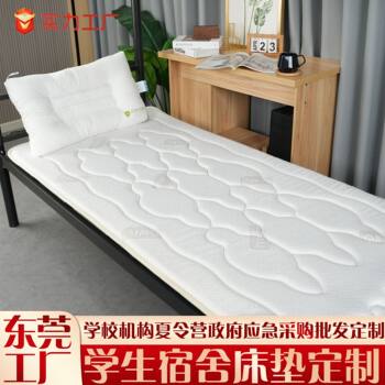 Spot Dongguan Factory Direct Delivery Student Dormitory Mattress Memory Foam Mattress Protector Pad Bedding