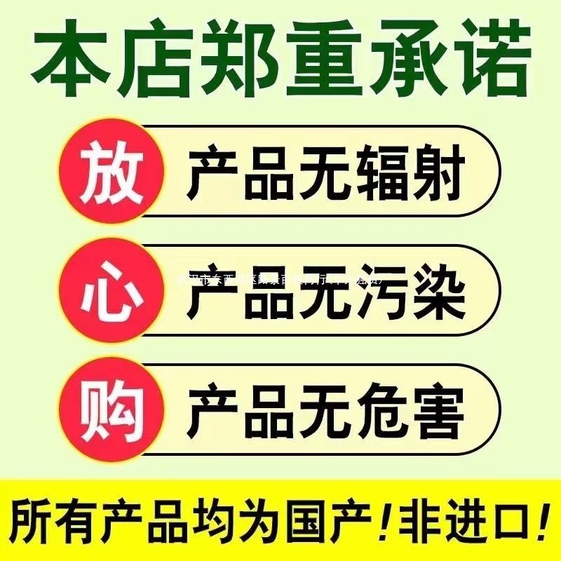 High Quality Extra Large Shrimp Peeled Fresh Green Shrimp Frozen White Shrimp Large Shrimp Seafood Wholesale