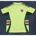 Wales away game