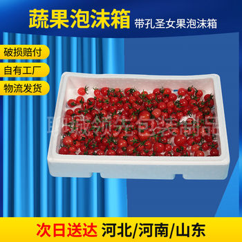 Fruit Foam Box, Perforated Foam Box for Cherry Tomatoes, Small Tomatoes, Cold Transport Fresh-Keeping Box, Logistics Packaging Box
