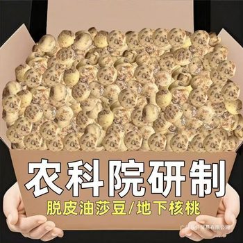 Xinjiang Specialty Peeled Oil Beans Can Be Used to Make Soy Milk, Underground Walnuts, Walnut Kernels Packaged in Mainland China as Default Items