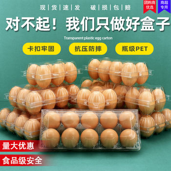 Egg Packaging Box 6 Anti-Fall 8 Pieces Disposable Transparent Egg Storage Thickeneded 10 Boxes Plastic Tray