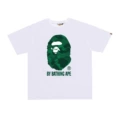 081 white green (digital printing)