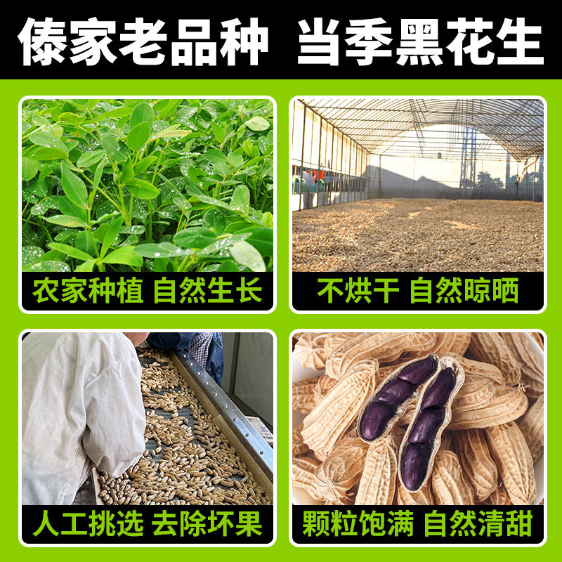 New Stock of Yunnan Wild Black Peanuts, Sun-Dried with Shells, Fragrant and Crispy Black Peanuts, Black Peanut Kernels