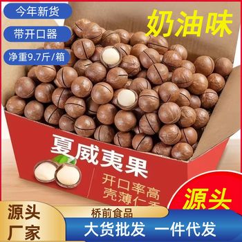 Australian Macadamia Nuts Wholesale Nuts Large Particles New Arrival Creamy Box Large Goods Bagged Summer Nuts Can Be Cross-Border