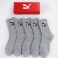 Biaojia high tube gift box [5 pairs of gray]