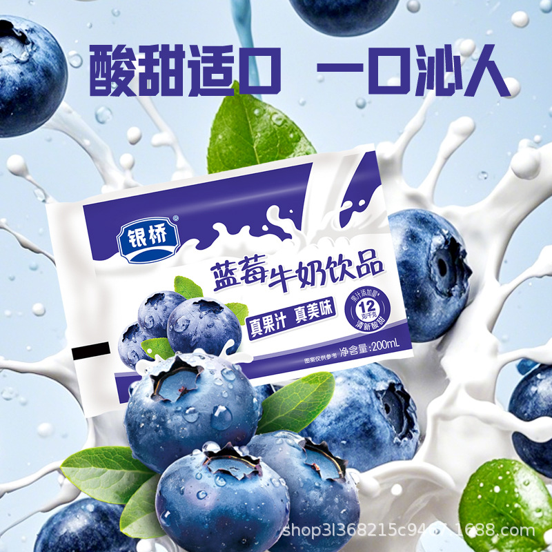 Yinqiao blueberry flavor sweet and sour milk milk drink
