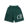 N04 colored yarn green wool