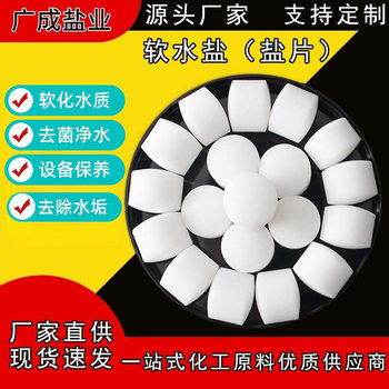 Soft Water Salt Water Treatment Industrial Tablet Granular Ion Exchange Resin Regenerant Sodium Chloride for Soft Water