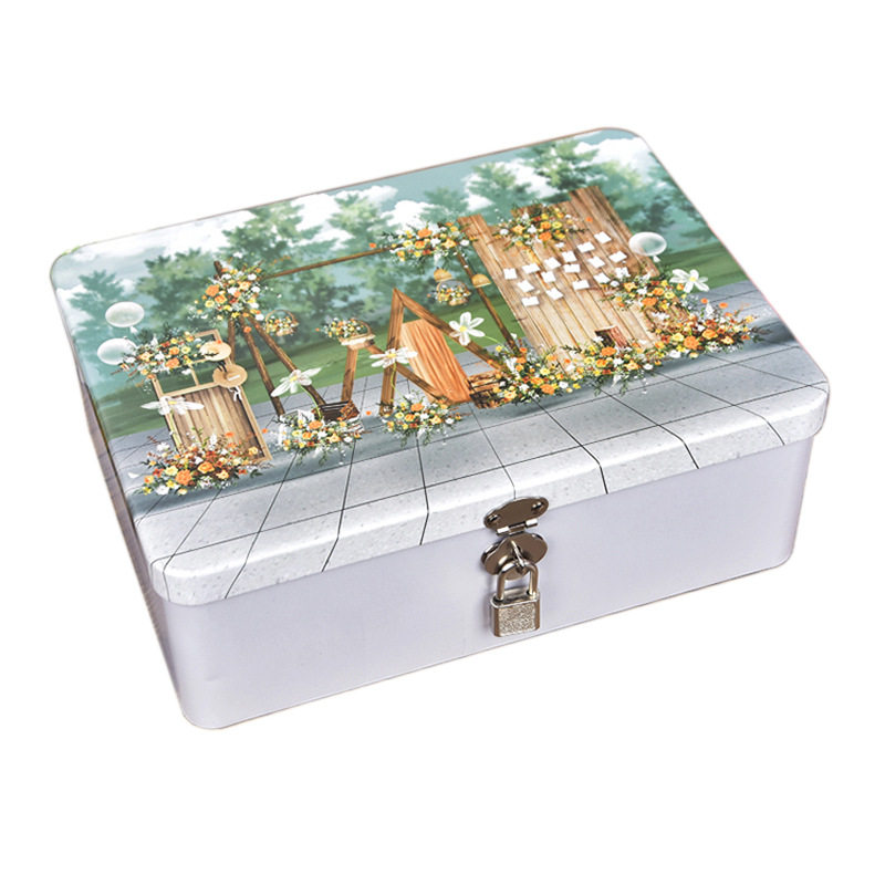 Storage Iron Box with Lock Desktop Organize Small Box Student Gift Box Cosmetics Jewelry Storage Certificate Collection Box