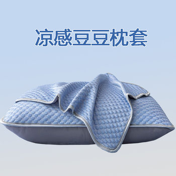 Summer Washable Ice Silk Bean Dirty Pillow Case 48x 74 Student Dormitory Home Pillow Case Pillow Core Protective Case