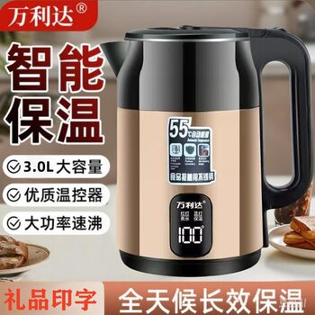 Wanlida Large-Capacity Electric Kettle for Home Use, Automatic Power-Off, Constant Temperature, Stainless Steel Boiling Kettle