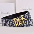 Blue cloth gold buckle dior