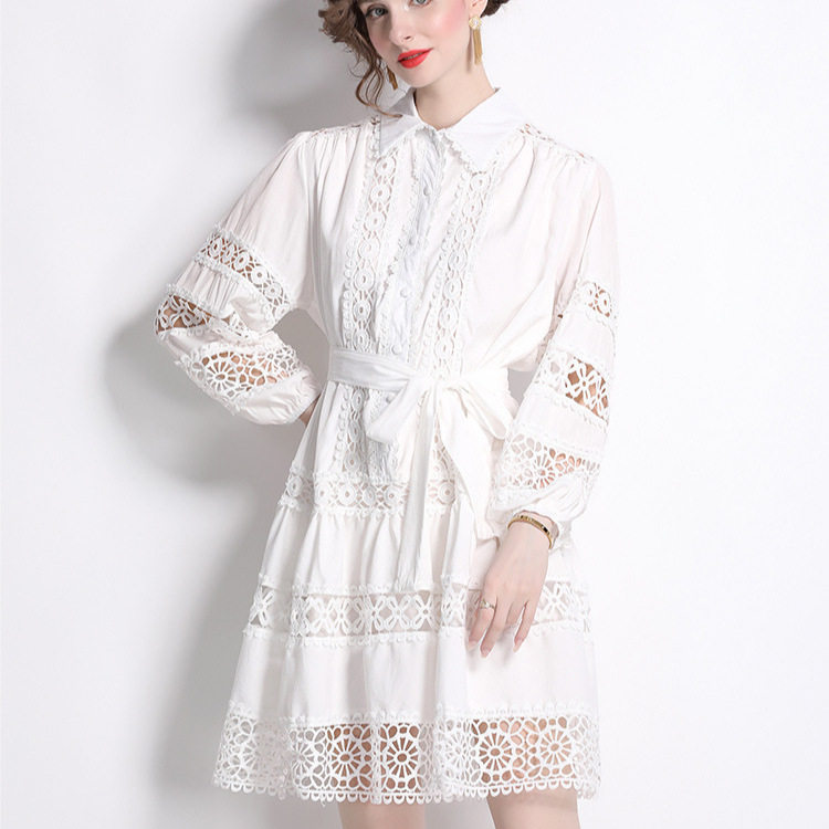 Vintage French Style Womens A Line Dress Hollow Embroidery Lace Panels Lantern Sleeves Button Closure Elegant