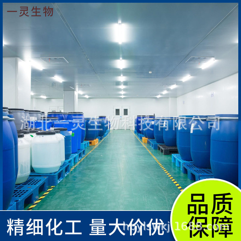 Polycarboxylate Sodium Salt 62601-60-9 Dye Promoter, Polymer Anionic Surfactant Packed on Demand