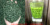 DAE white fine core hair tip 2026 новая серия tea clear soup Yuxinjian extra fine core - сильный аромат, экстра-зеленые, тонкие белые бутоны, разнообразие стилей
