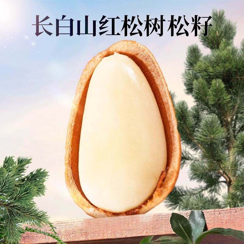 Large Pine Nuts Northeast New Arrival Brazilian Open Pine Nut Kernels Nut Snacks Bulk Other Packaging