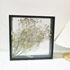 New hollow 4cm double transparent dried flower photo frame wooden creative specimen double-sided display frame