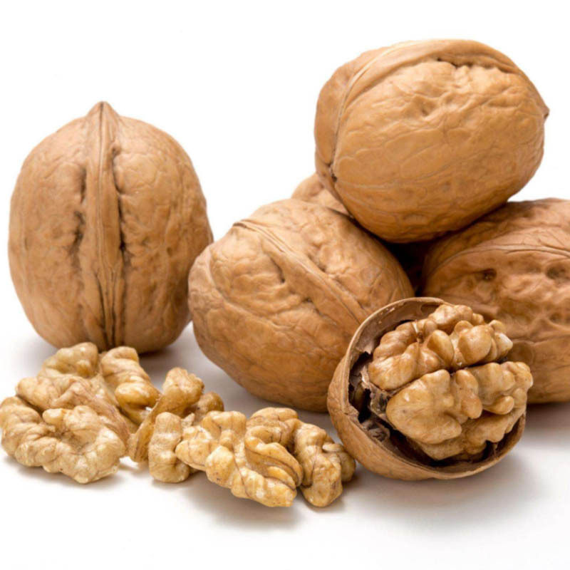 Xinjiang Roasted Walnut Herbal Milk Flavor [Yishuyuan] 500G/Bag Thin-Skinned Hand-Peeled Roasted Walnuts