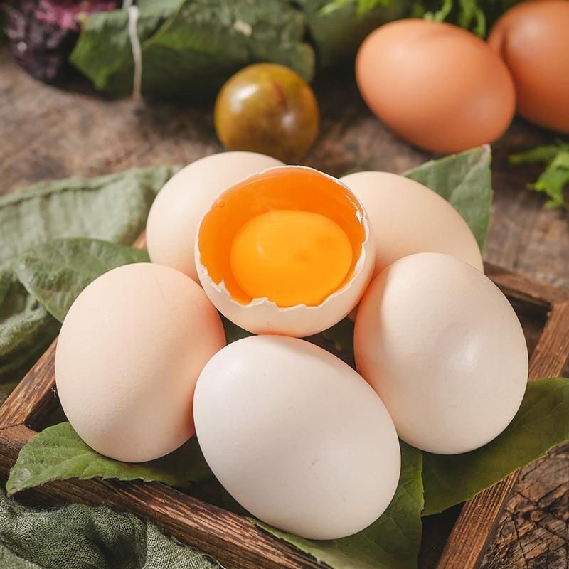 Farmhouse Free-Range Eggs, Nutritious Free-Range Eggs, Farmhouse Cordyceps Eggs, Guaranteed Fresh and Undamaged Throughout the Year