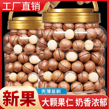 New Arrival Macadamia Nuts Large Grain Nuts Fresh Fruit Bulk Cream Flavor Bagged Snacks Nuts Wholesale