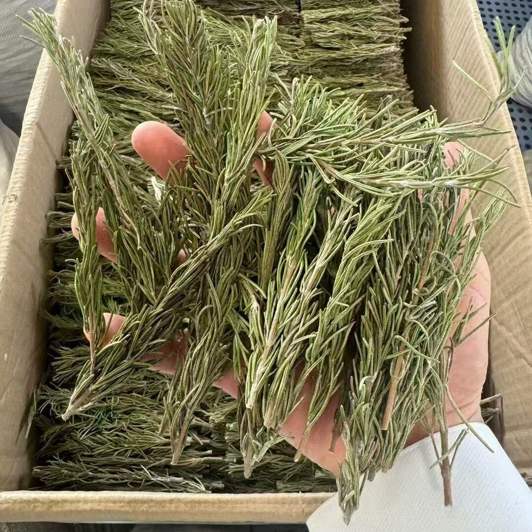 Dried Rosemary Branches, Food-Grade Spice, New Stock for Steak, Large Quantity, Excellent Price, Seasoning, Baking, Garnish, Cross-Border Fragrance