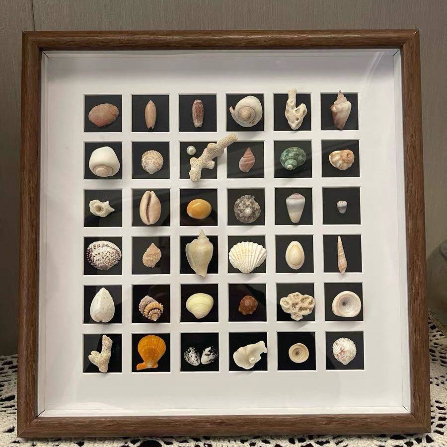 Three-Dimensional Hollow Photo Frame Seaside Shell Conch DIY Specimen Dried Flower Table Creative Handmade Gift Commemorative Photo Frame